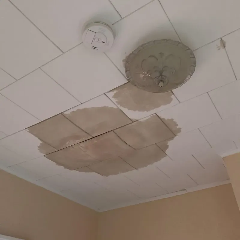 Ceiling Water Damage Repair in Cranberry Township, PA