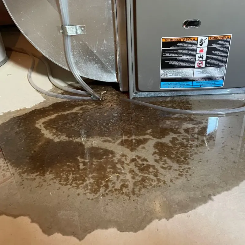 Pipe Burst and Leak Restoration in Cranberry Township, PA