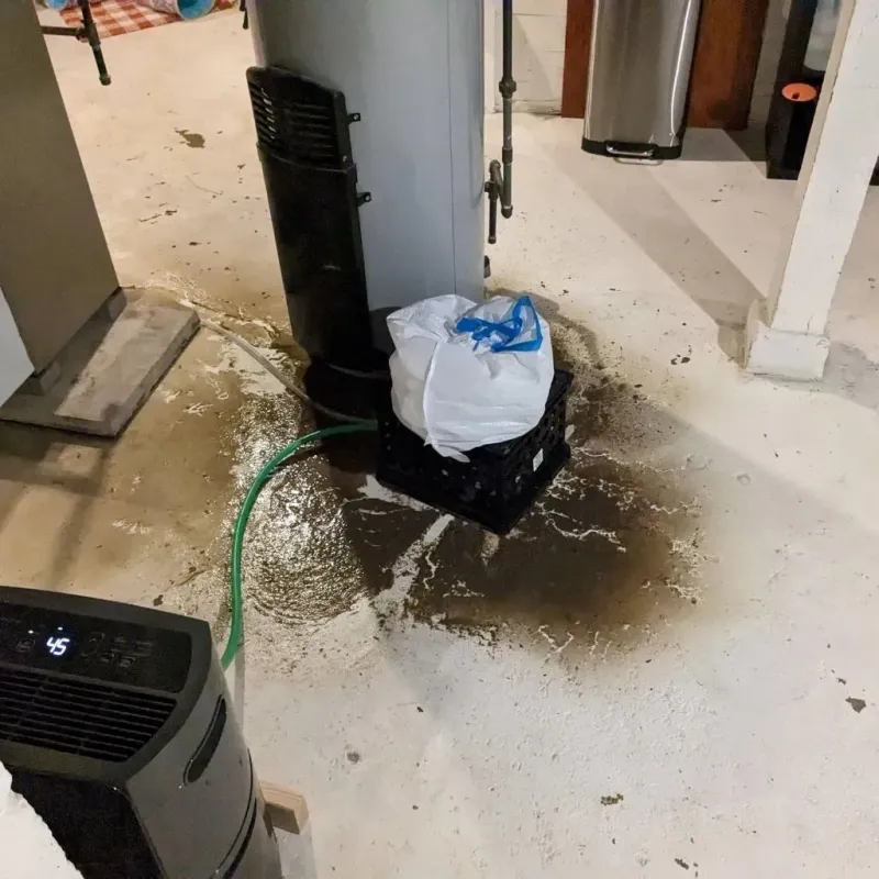 Sewage Backup Cleanup Service in Cranberry Township, PA